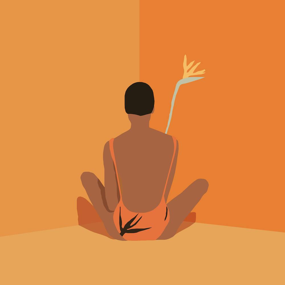 Bird Of Paradise
