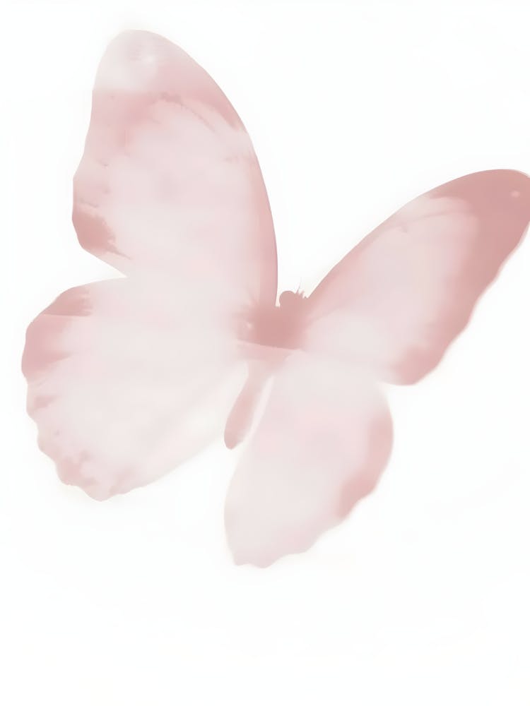 Pink Butterfly 2