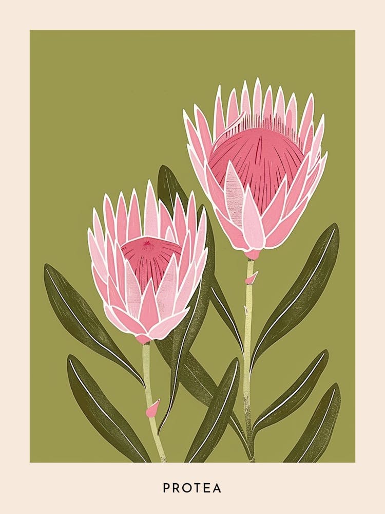 Pink & Green Protea 3 Flower Poster