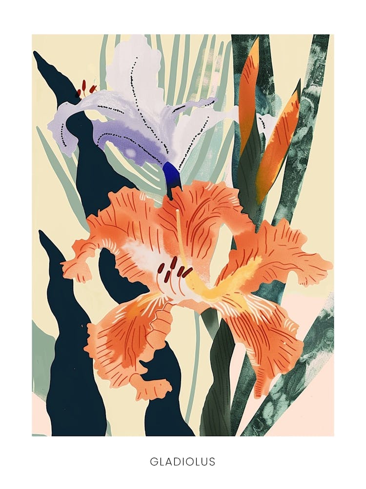 Colourful Flower Illustration Poster Gladiolus 2