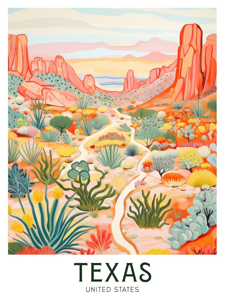 Texas, United States Maximalist Travel Poster Vibrant Colour