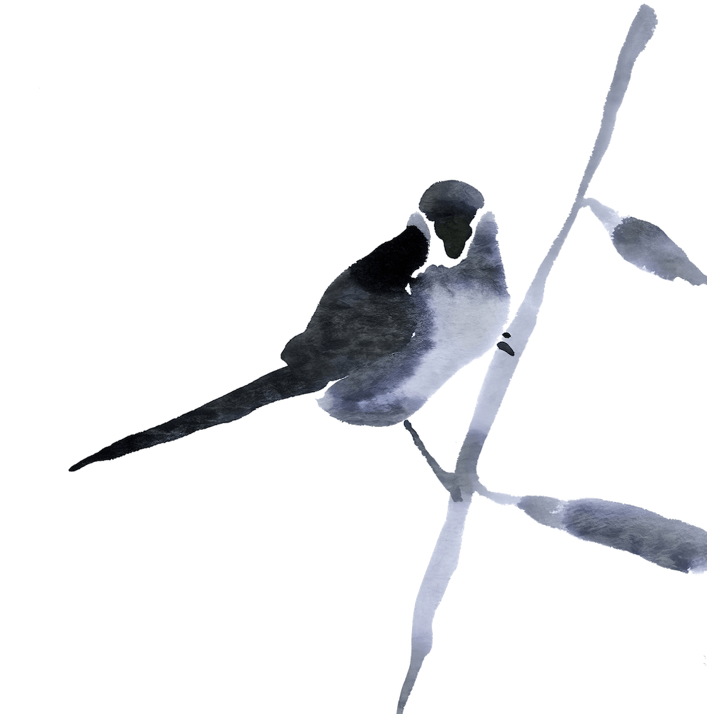 Bearded Parrotbill - Minimalistic Bird Painting