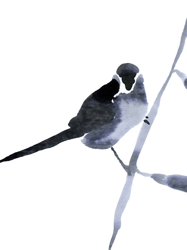 Bearded Parrotbill - Minimalistic Bird Painting