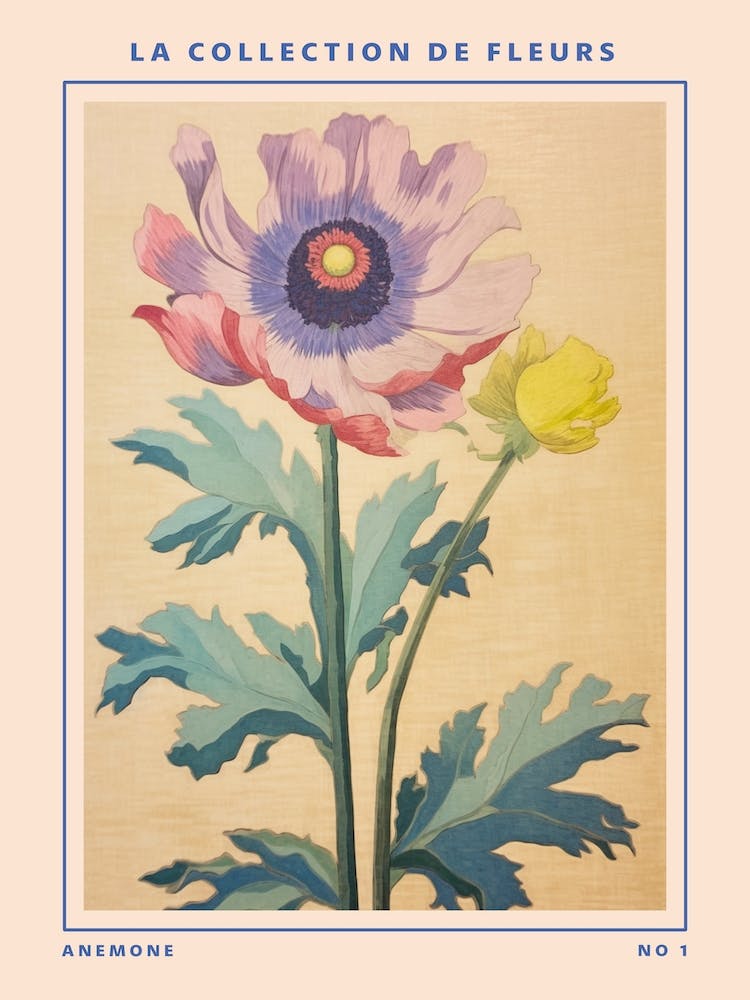 Anemone French Flower Botanical Poster
