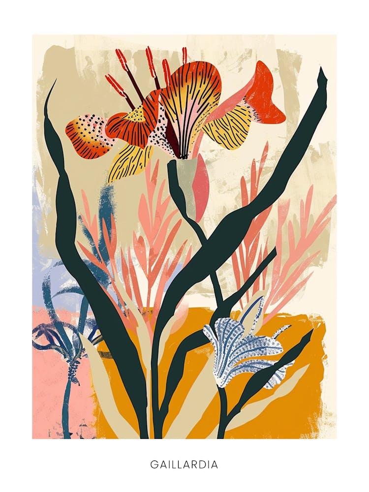 Colourful Flower Illustration Poster Gaillardia 1