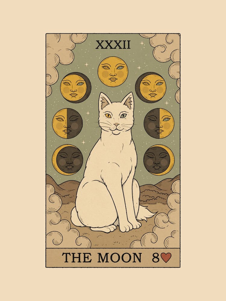 The Moon Cat
