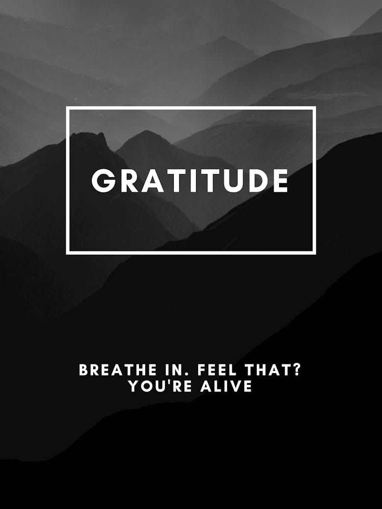 Gratitude Breathe In Feel That You'Re Alive
