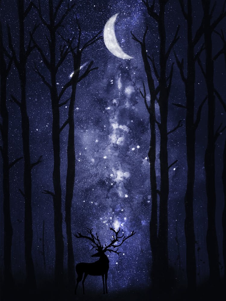 Deer In The Forest - Starry Night and Moon #1