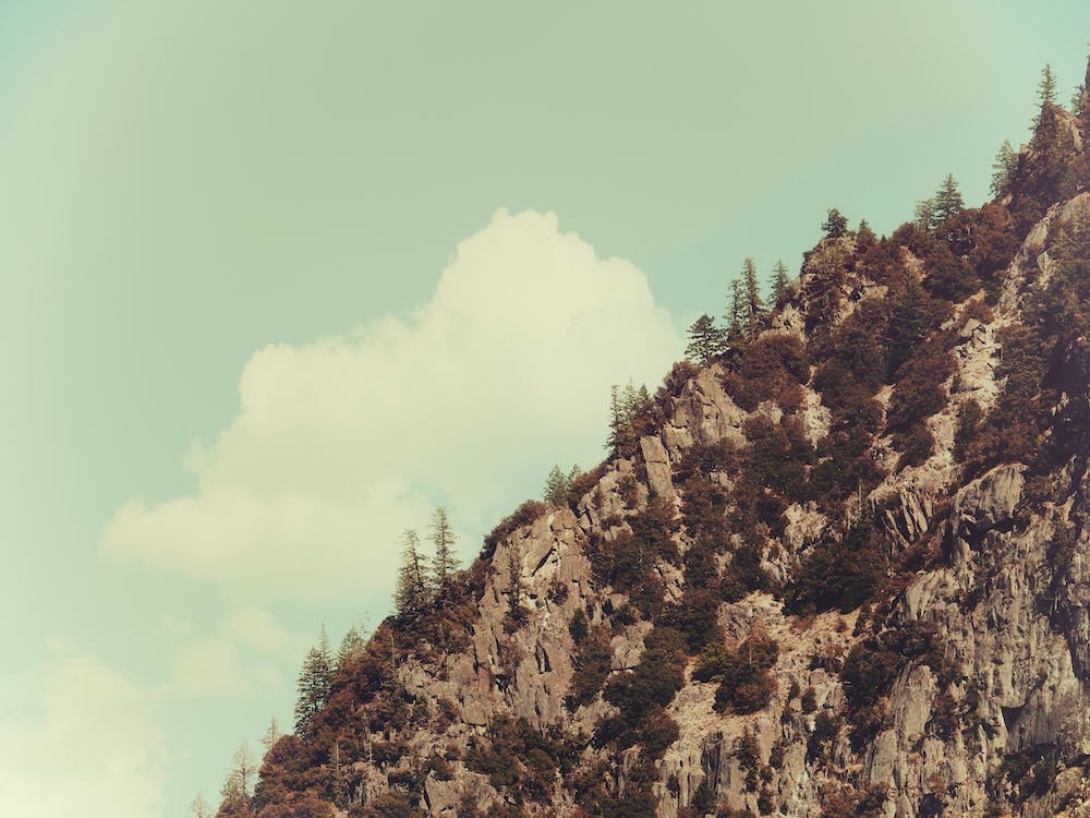Up the Mountains