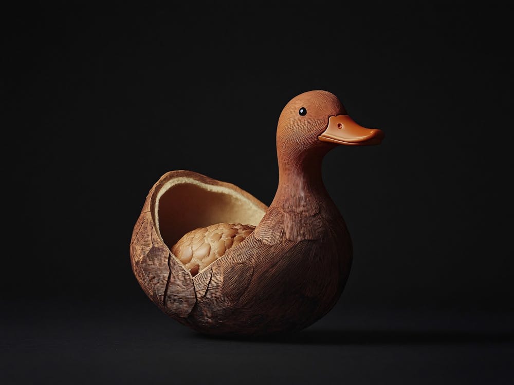 Duck In A Nest