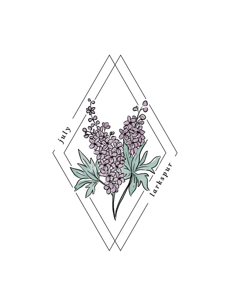 July Larkspur Birth Flower | Diamond Frame