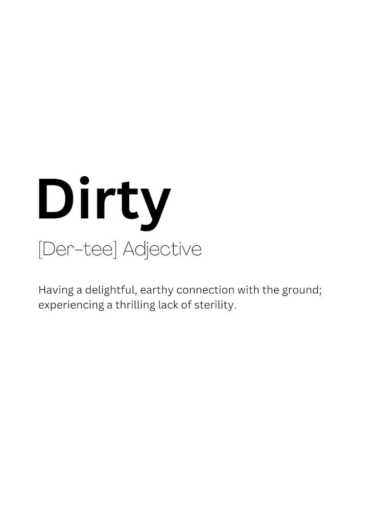 Dirty Definition Meaning 1