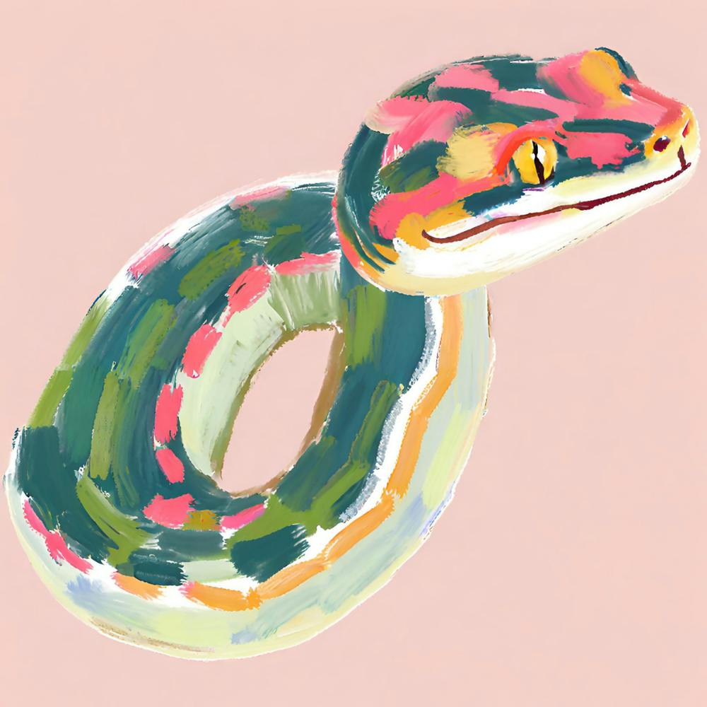 Red Tailed Boa Snake 08