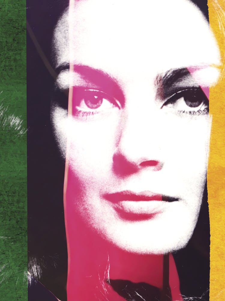 Vintage Female Portrait With Multicolour