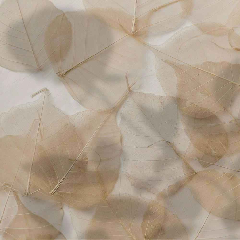 Beige Leaves