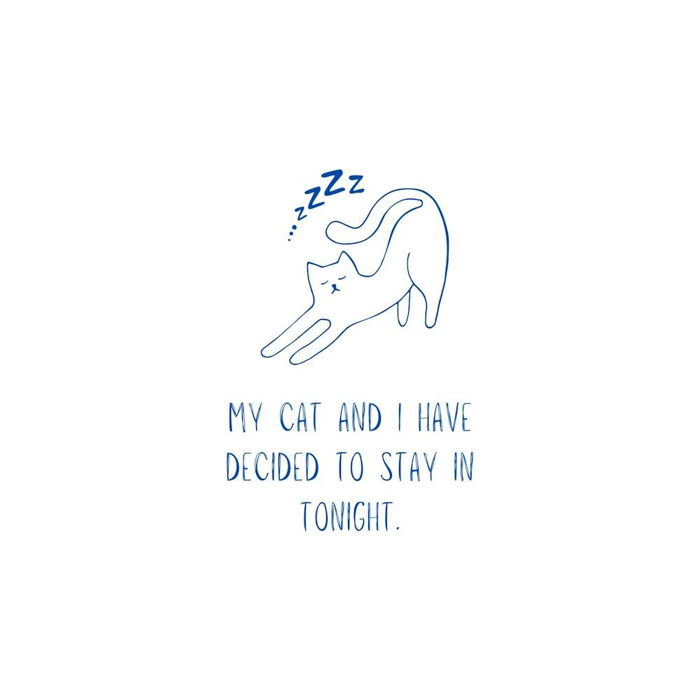 Cute Lazy Cat