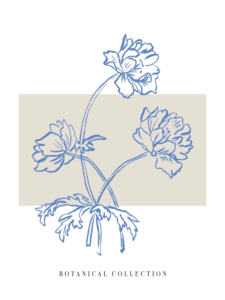 Harmonic lines no 10