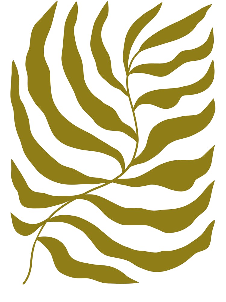 Zebra Leaf