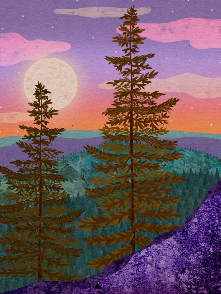 Mystic Woods