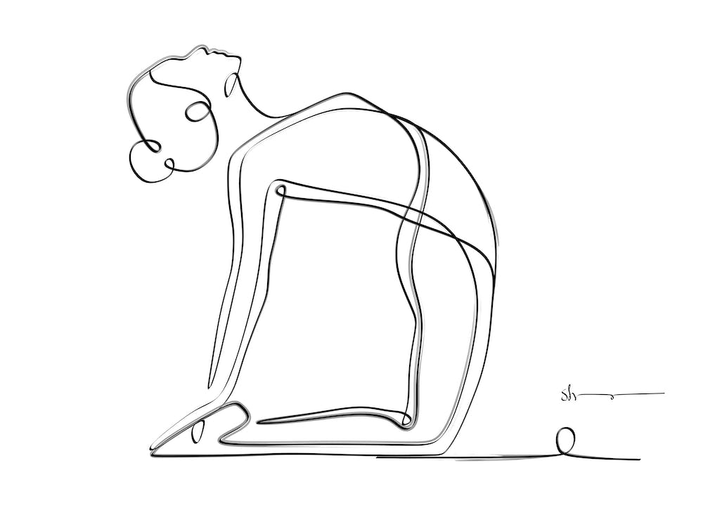 Camel Pose Complete