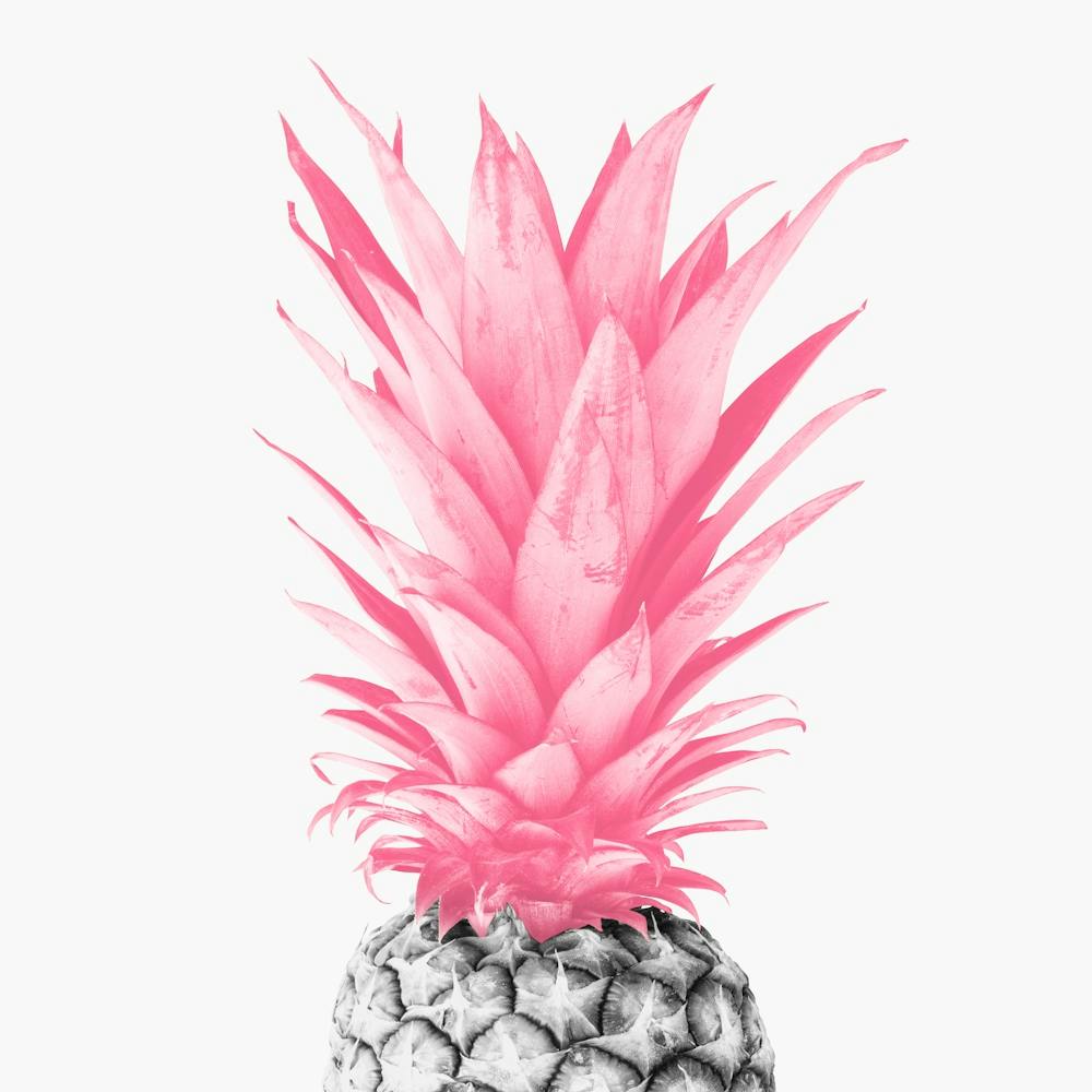 Pineapple collage 3