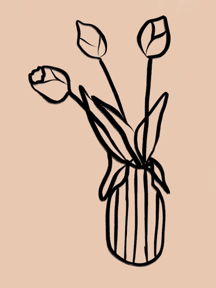 Tulipes