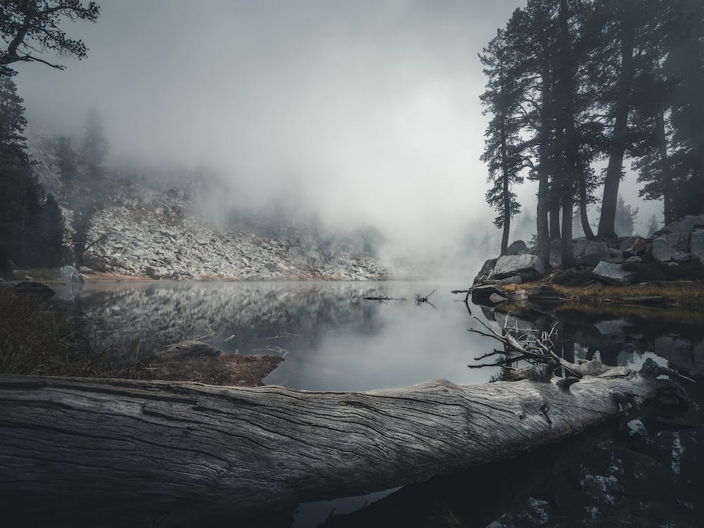 Mania Landscapes Raw 13 Sequoia (USA)