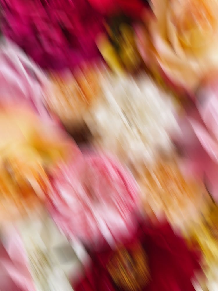 Nature in Motion Abstract Floral Photography