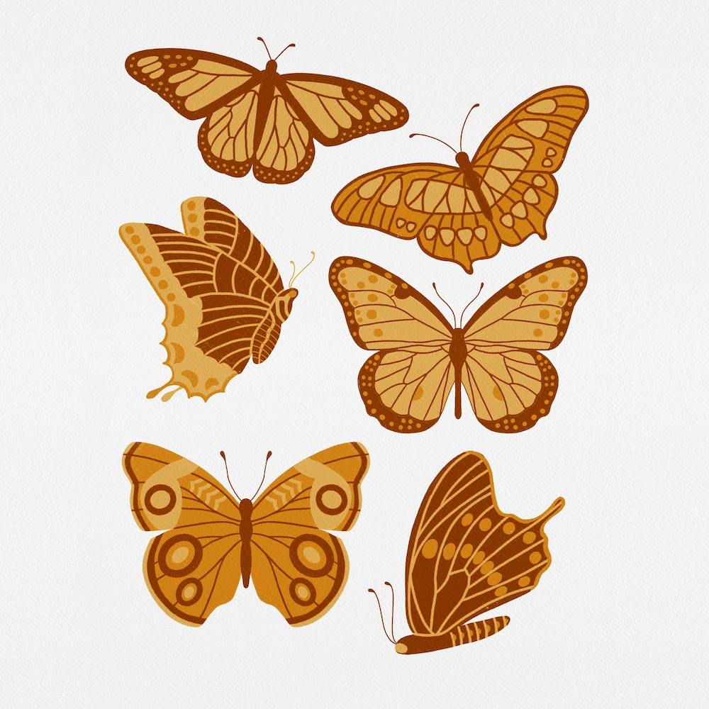 Texas Butterflies   Golden Yellow Square