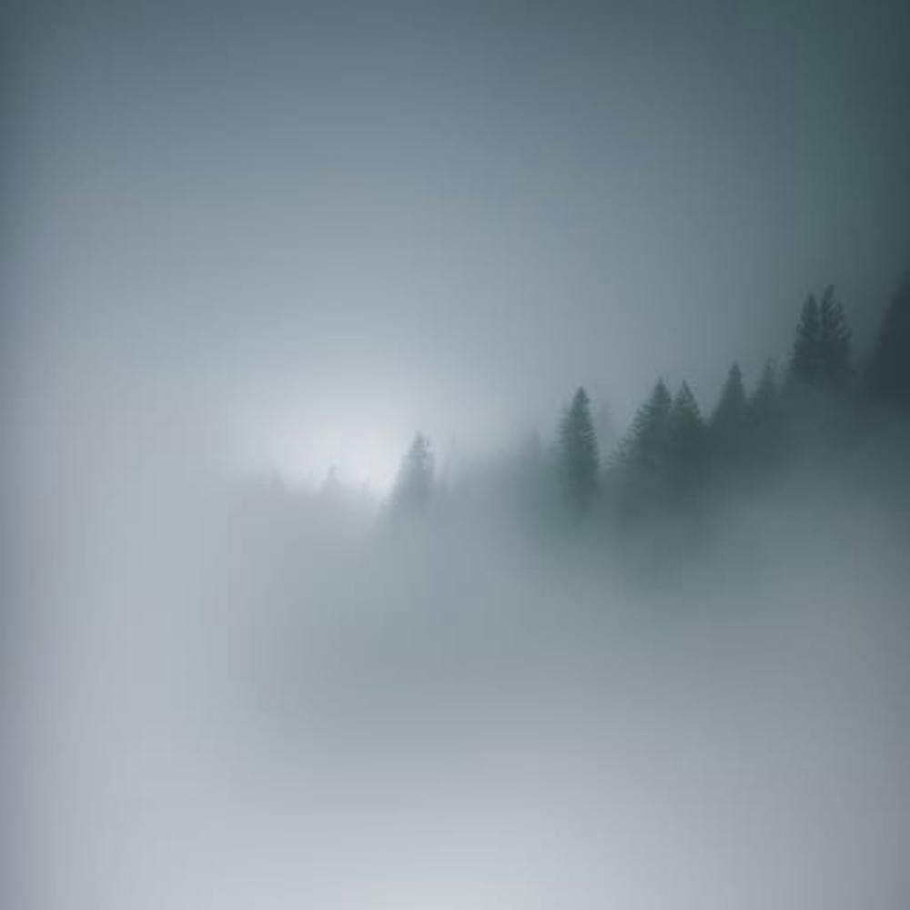 Fog In The Mountains