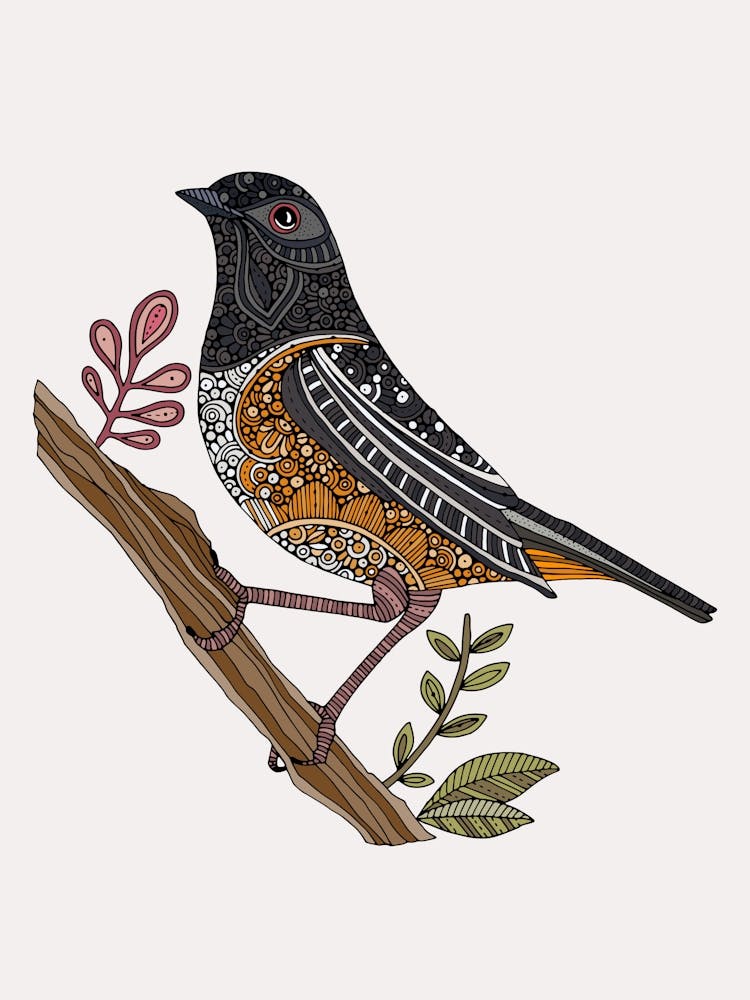Josie The Spotted Towhee