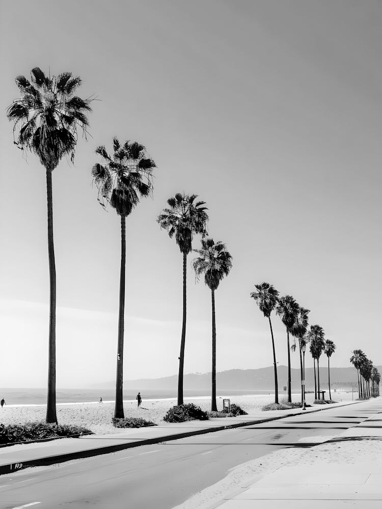 Palm Trees On The Beach 3