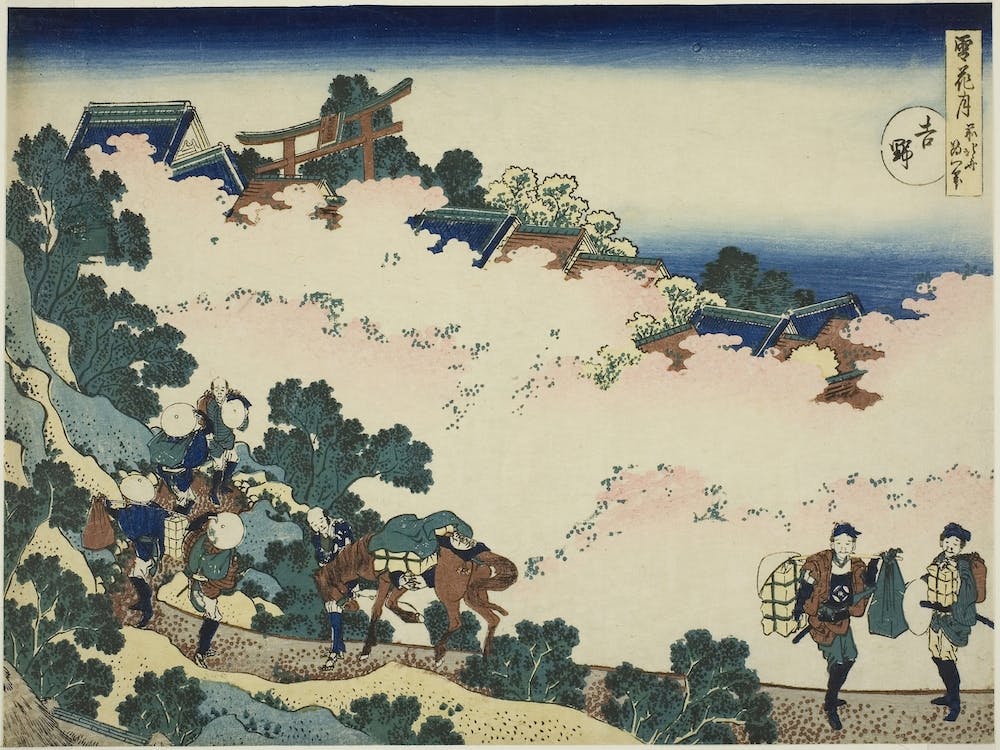 Cherry Blossoms at Yoshino (Yoshino), from the series Snow, Moon, and Flowers ,Katsushika Hokusai,