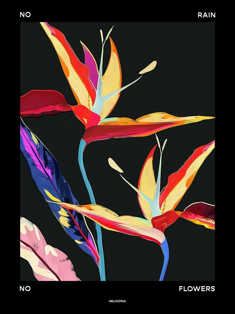 No Rain No Flowers Poster Heliconia 4