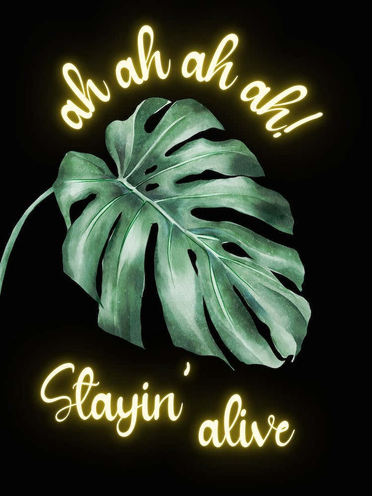 Oh Oh Oh stayin’ alive