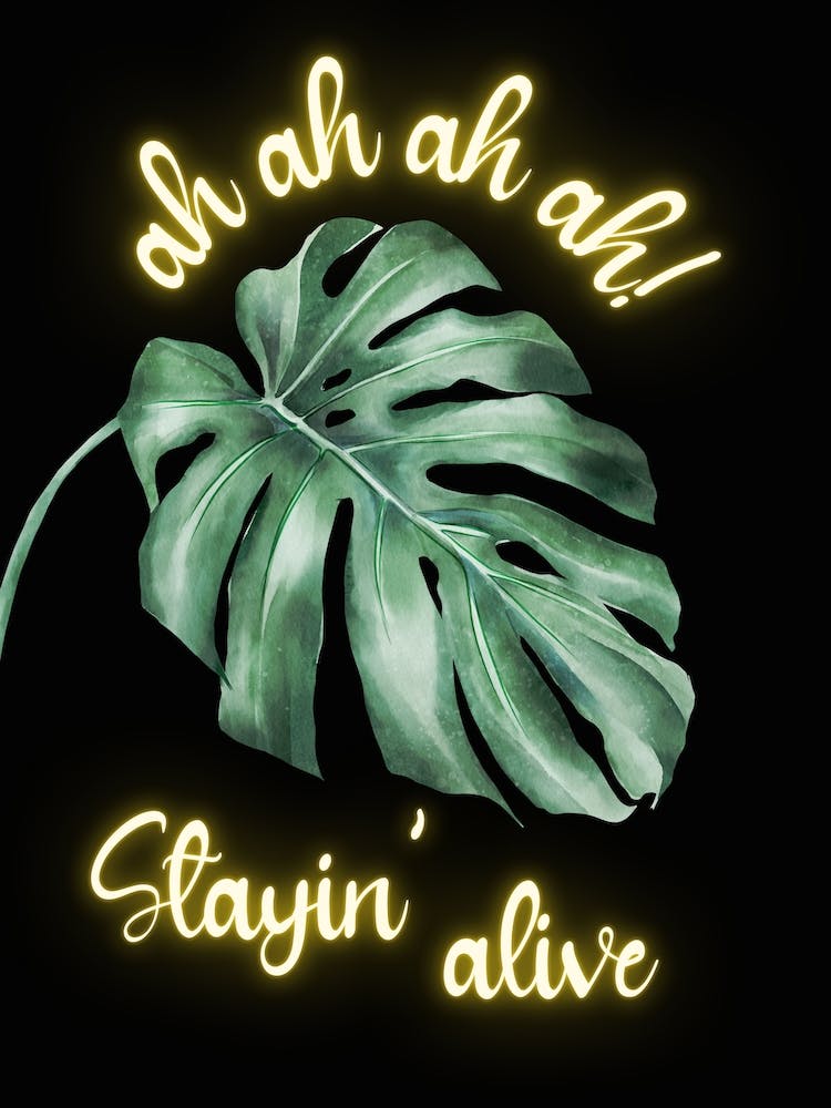 Oh Oh Oh stayin’ alive