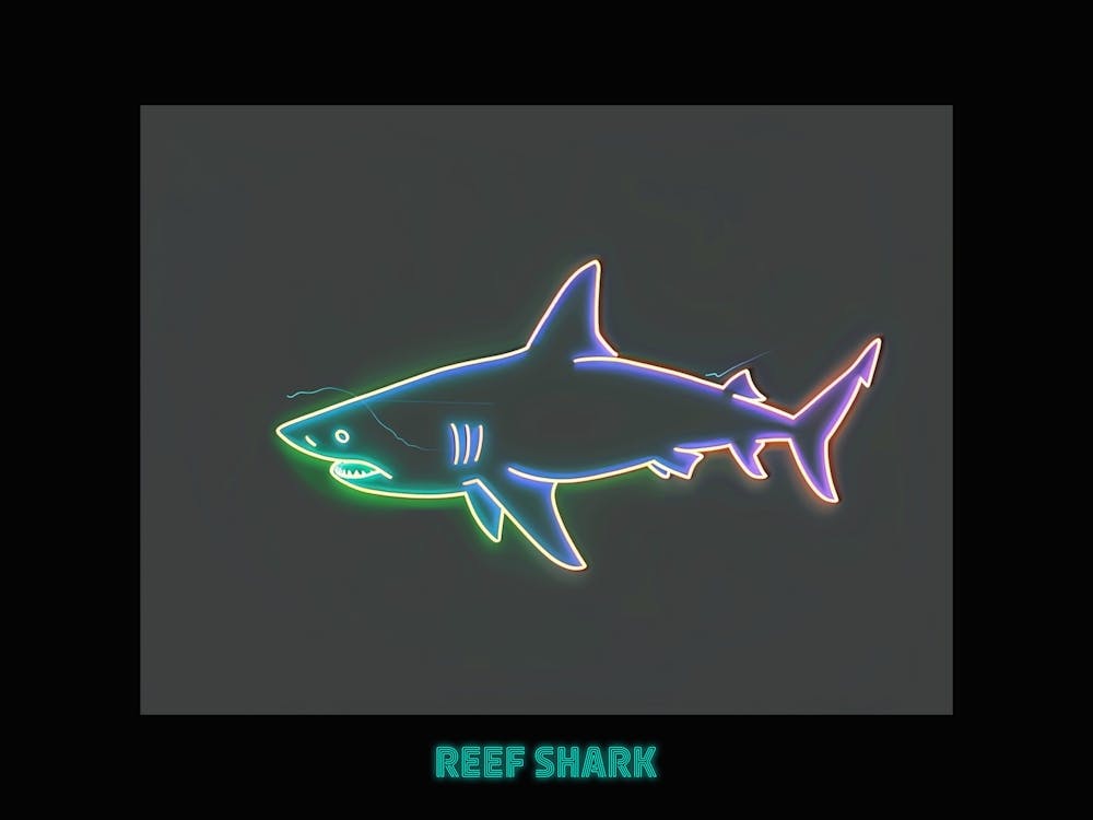 Neon Weißspitzen-Riffhai 5 Poster
