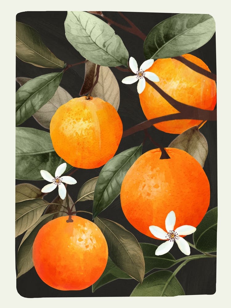 Orange 2