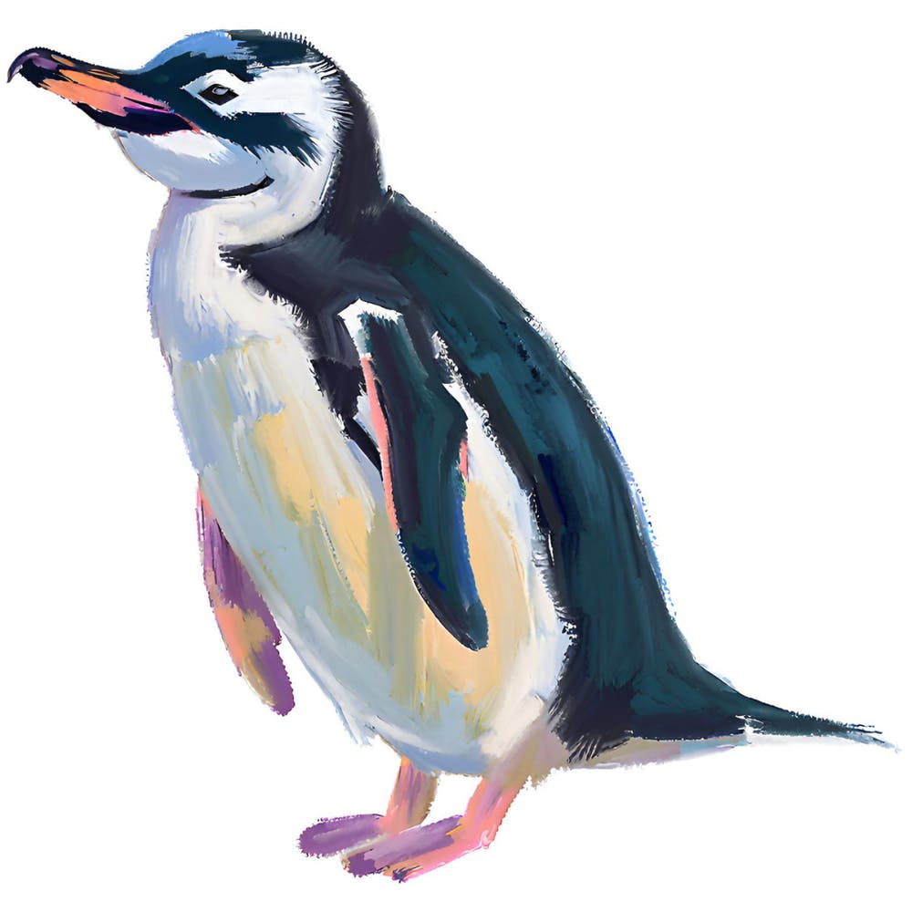Chinstrap Penguin 05