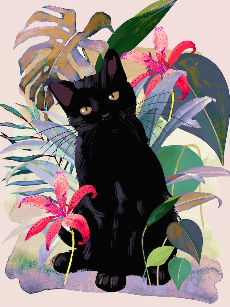 Tropical Cat