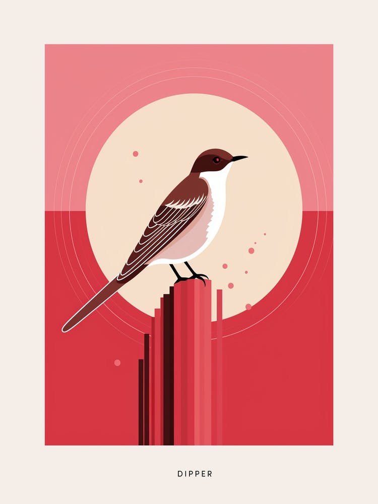 Minimalist Dipper 2 Bird Poster