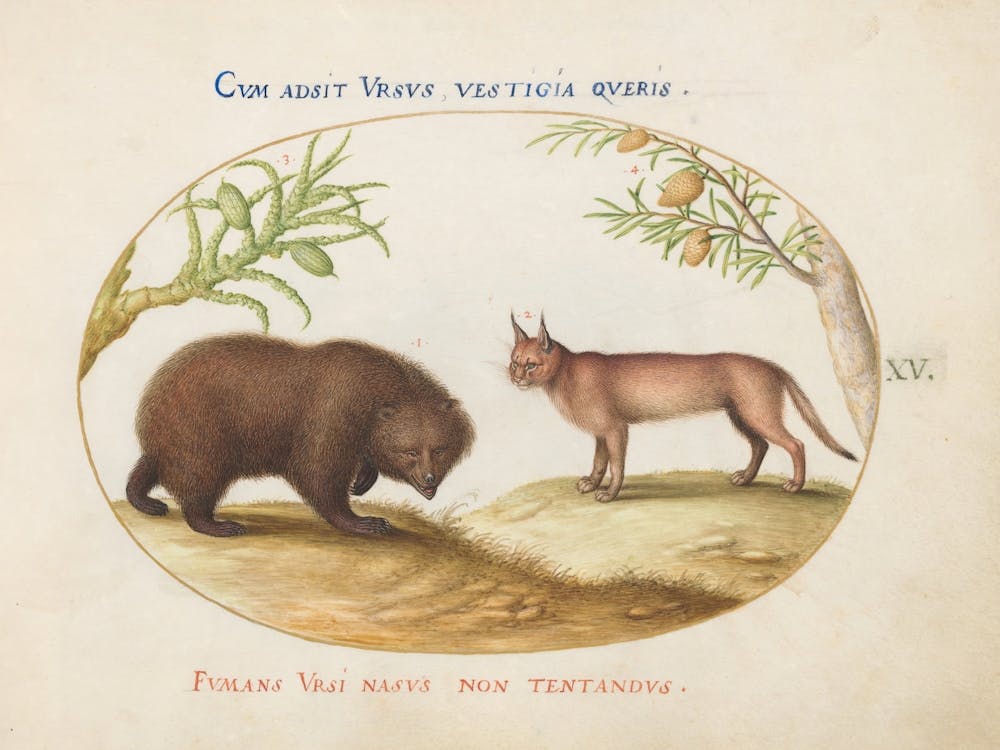 Animalia Qvadrvpedia et Reptilia (c. 1575-1580), Joris Hoefnagel