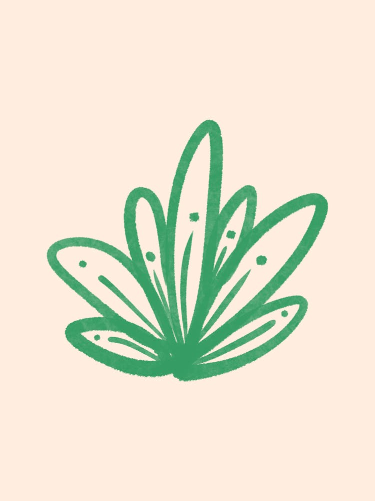 Cactus 8