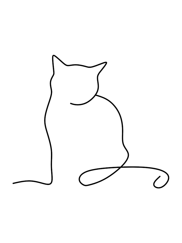Cat Drawing Monoline Drawing Line Art