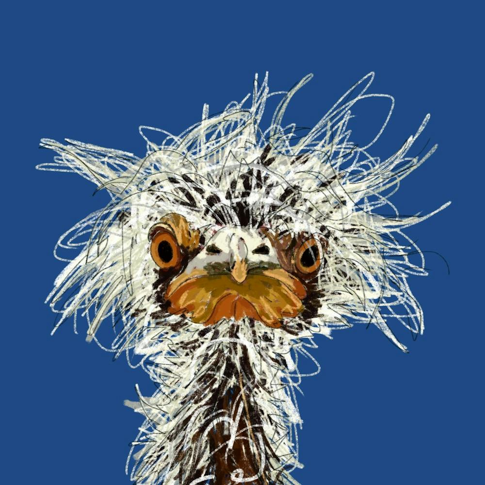 Messy Emu