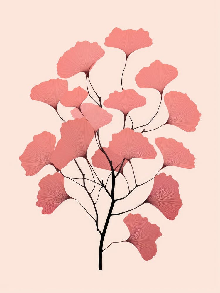 Pink Ginkgo Tree