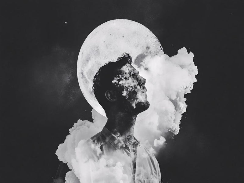 Dreaming Of The Moon