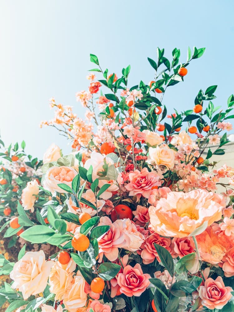 Floral Delight