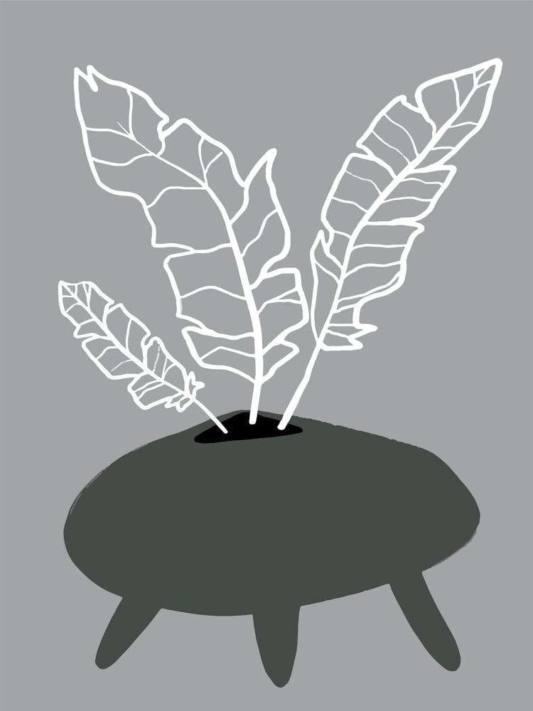 Plant In A Pot