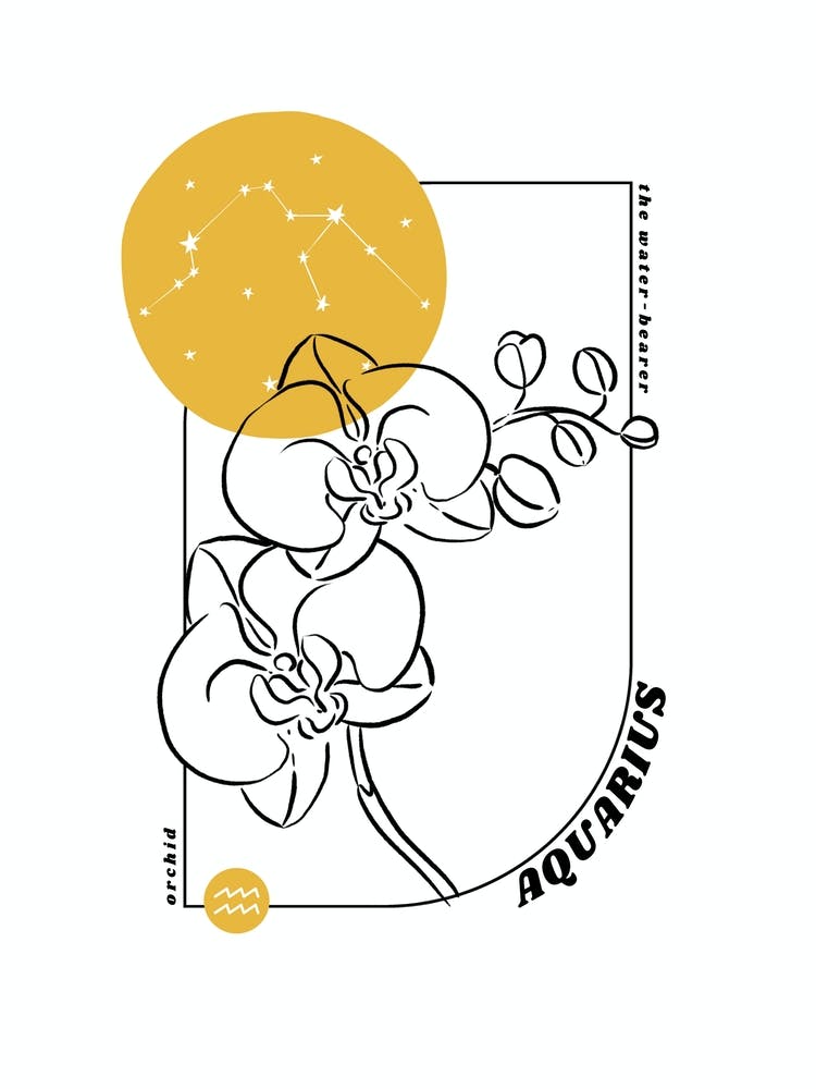 Aquarius Birth Flower & Zodiac Sign
